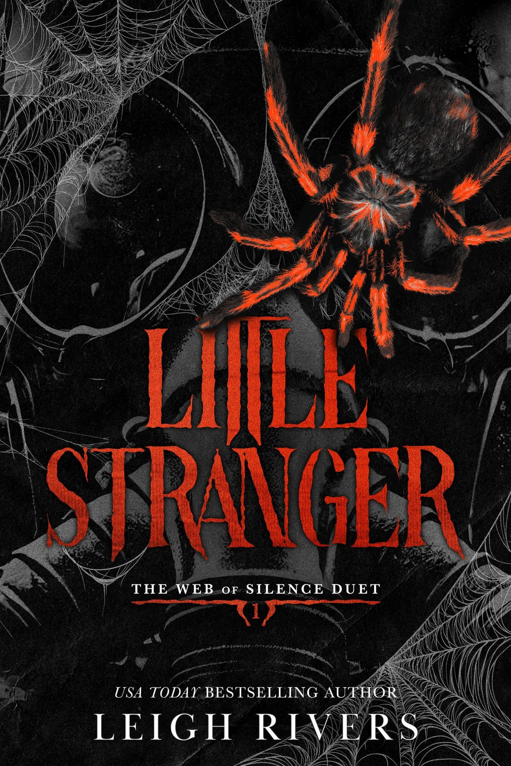 The Web of Silence Duet by Leigh Rivers