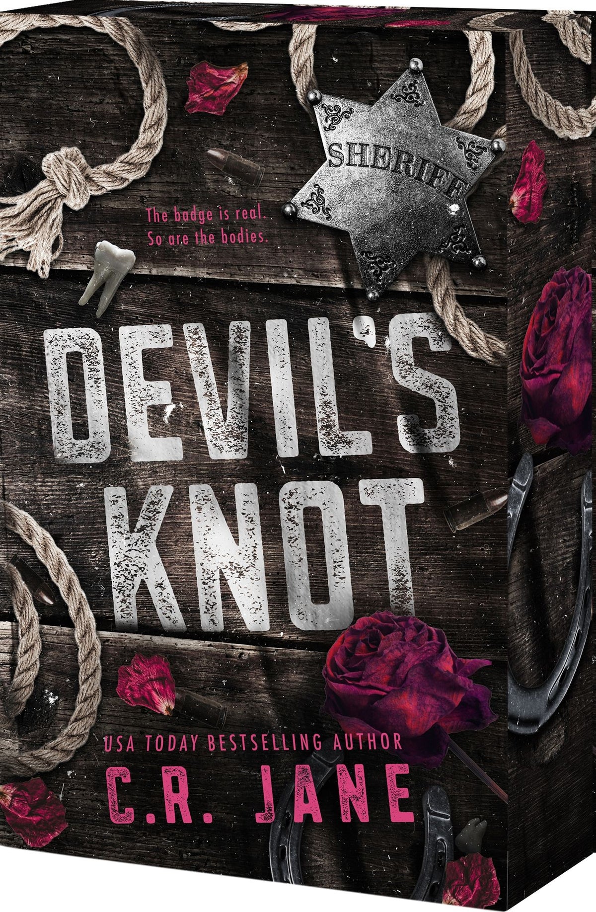 Devil's Knot by C. R. Jane