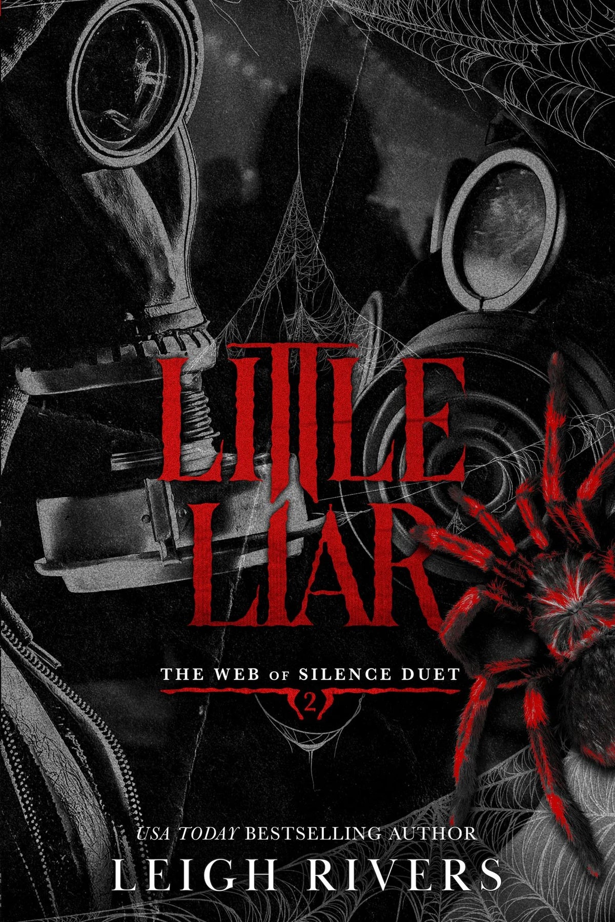 The Web of Silence Duet by Leigh Rivers